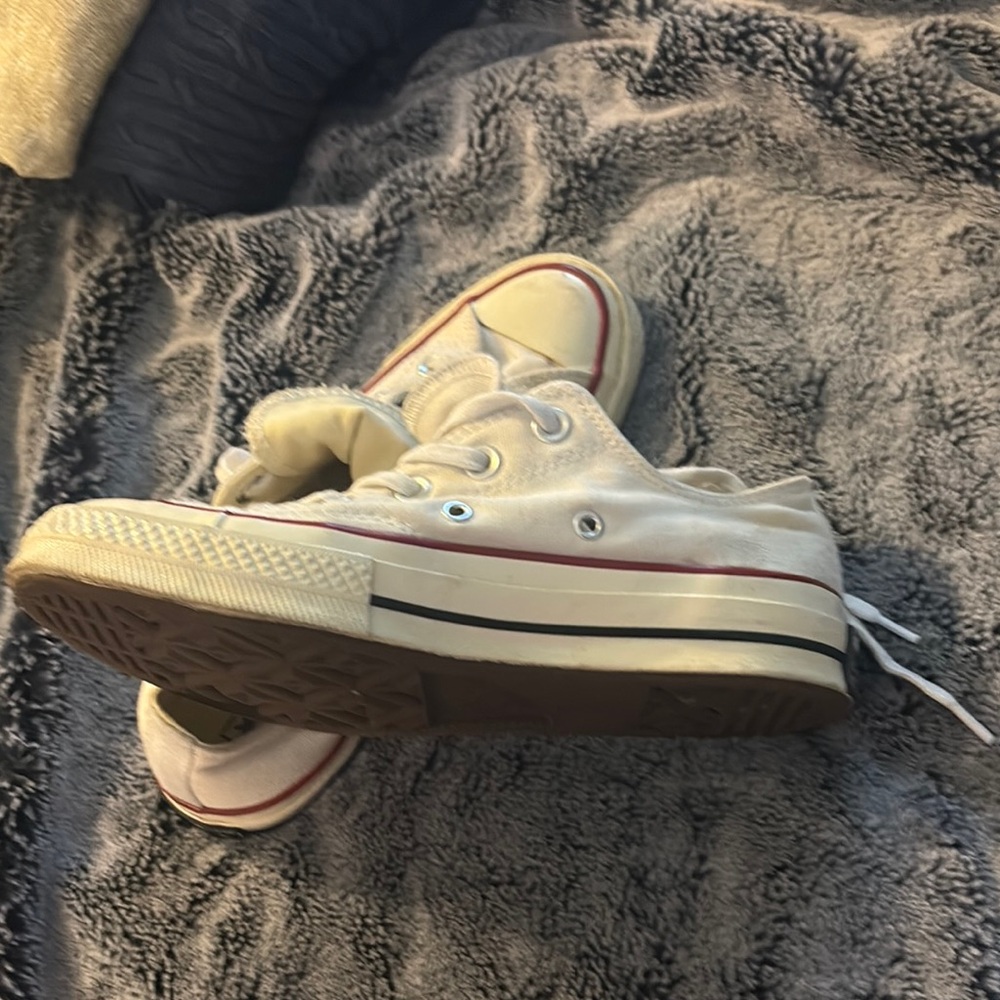 Converse White and Brown Canvas Sneakers